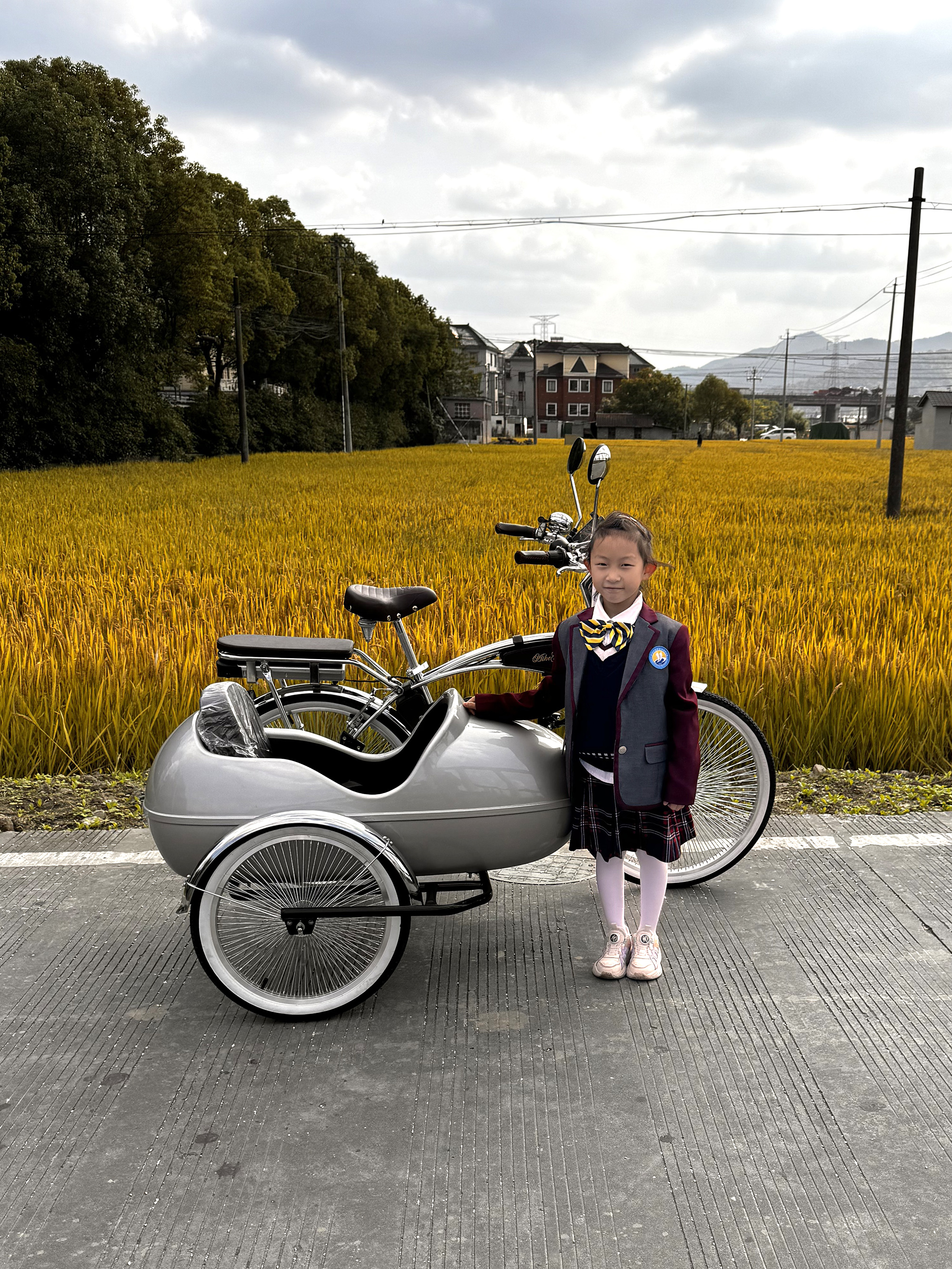 Vintage Cruiser Bike-With Sidecar Chrome
